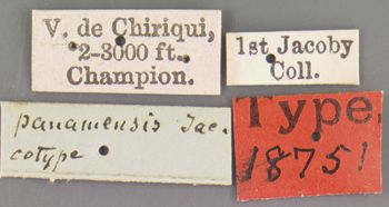 Media type: image; Entomology 18751   Aspect: labels